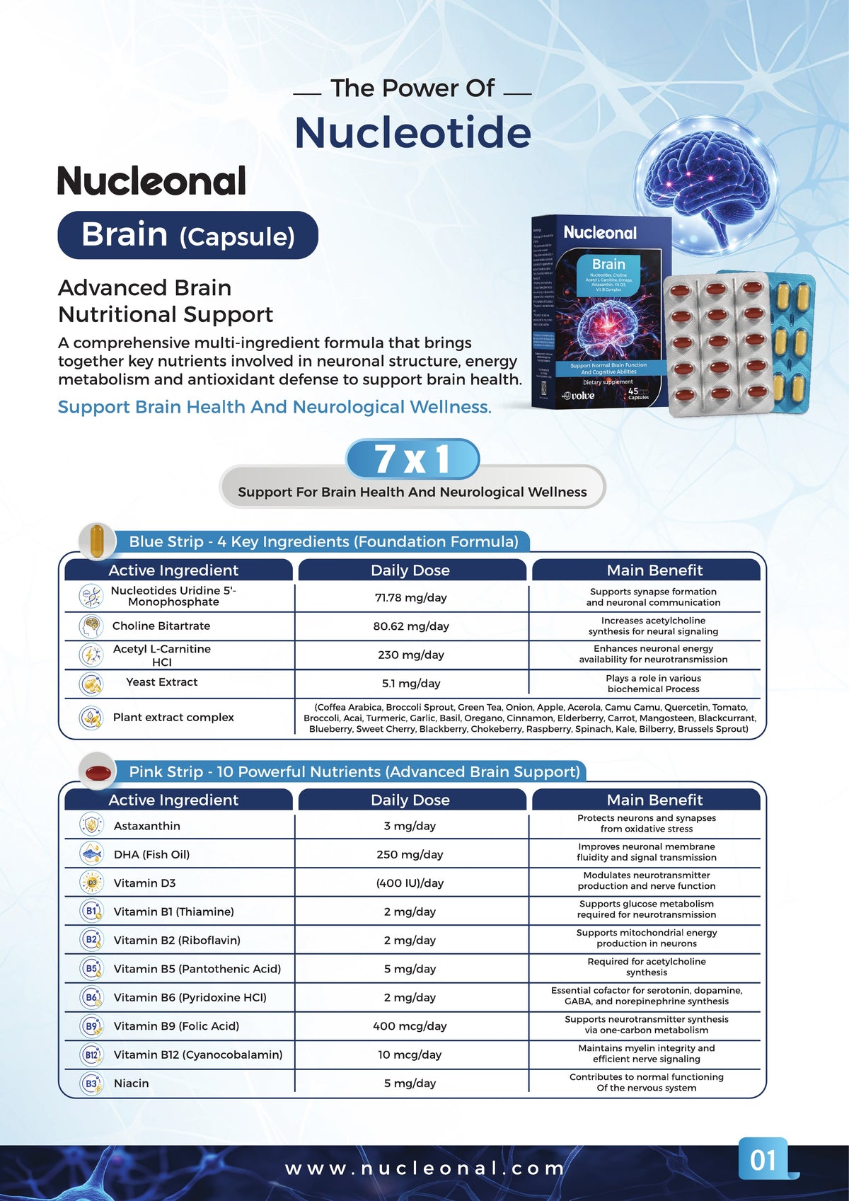 Nucleonal Power of Nucleotide - Page 2 / 12