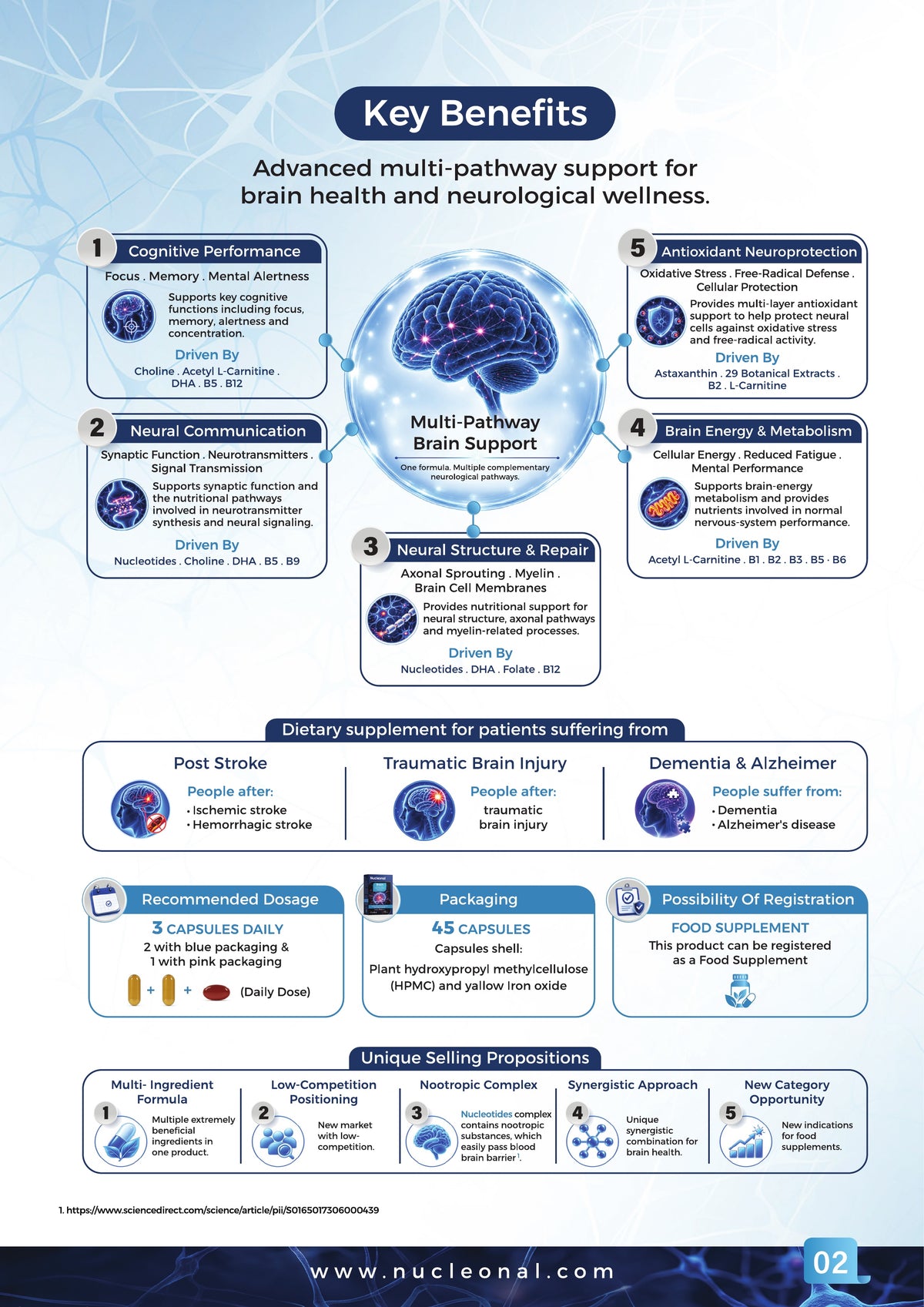 Nucleonal Power of Nucleotide - Page 3 / 12