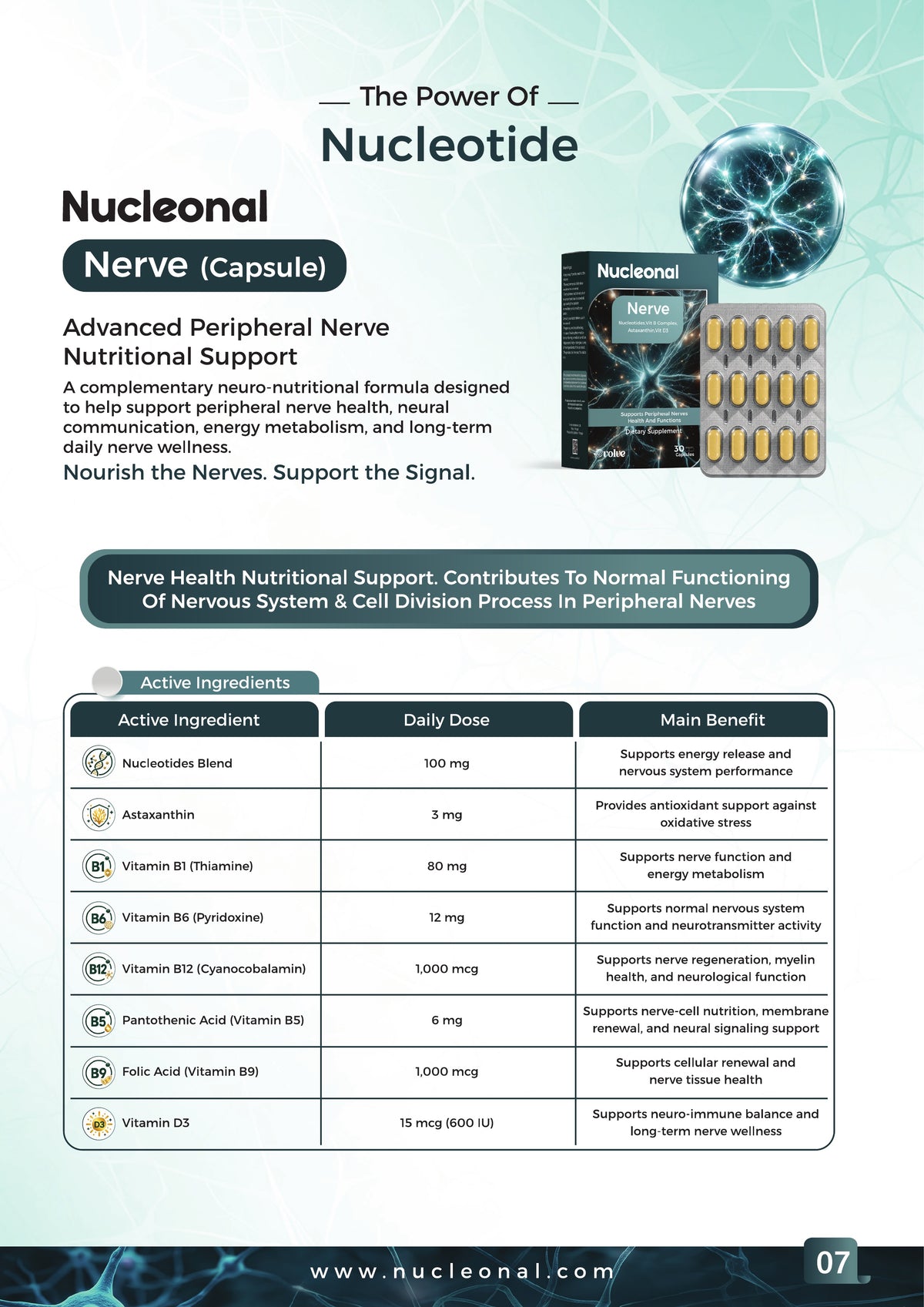 Nucleonal Power of Nucleotide - Page 8 / 12