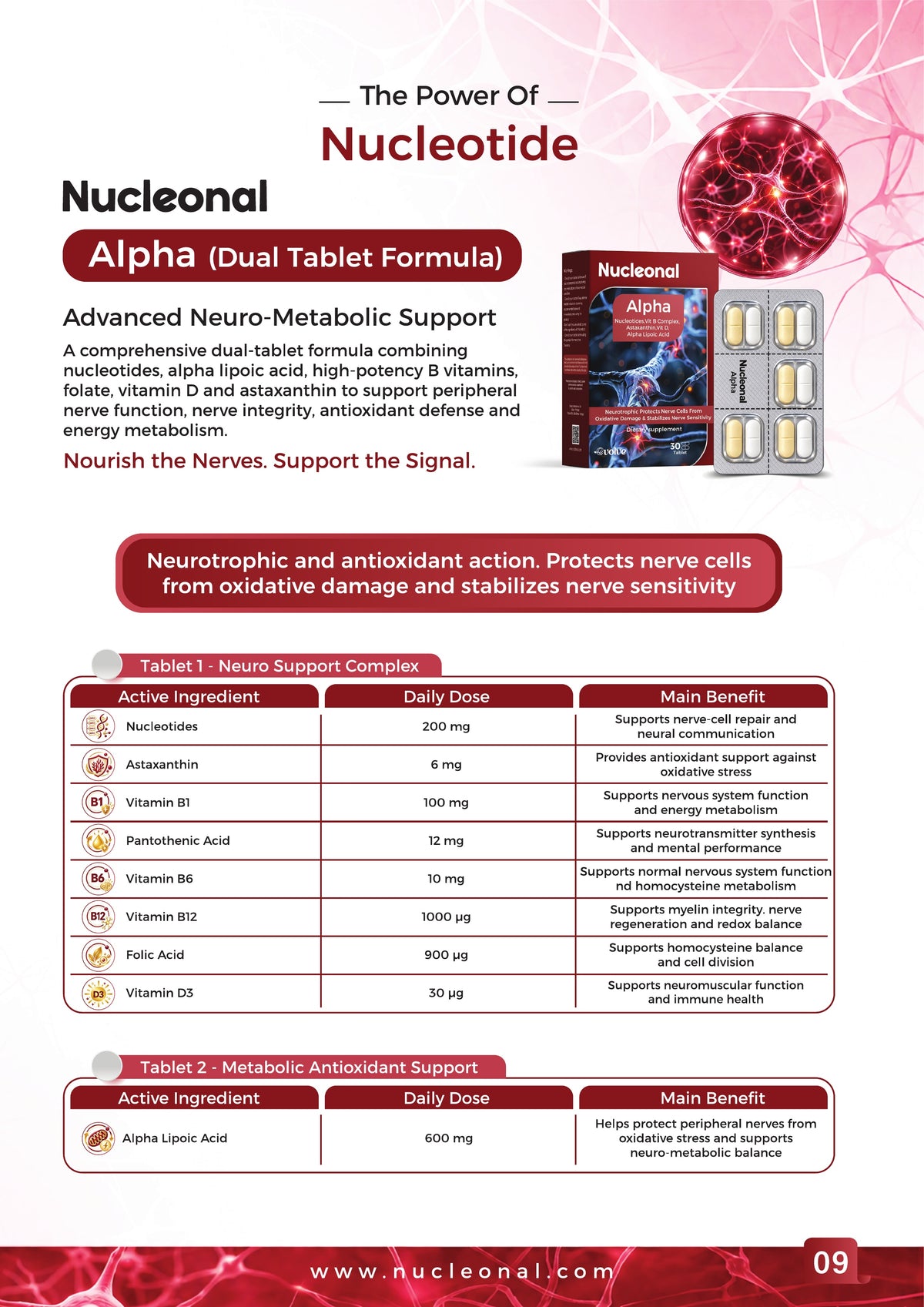 Nucleonal Power of Nucleotide - Page 10 / 12