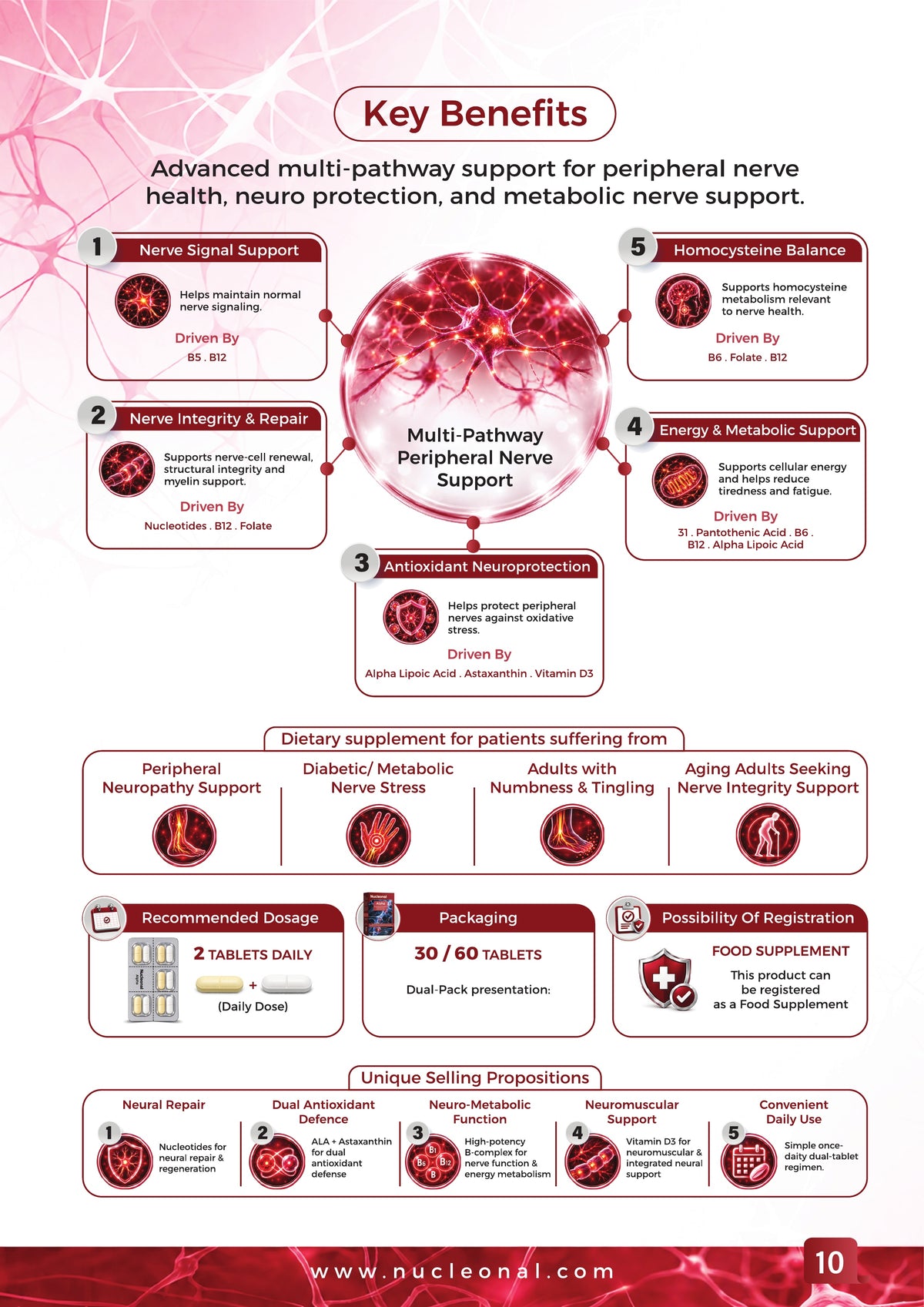 Nucleonal Power of Nucleotide - Page 11 / 12